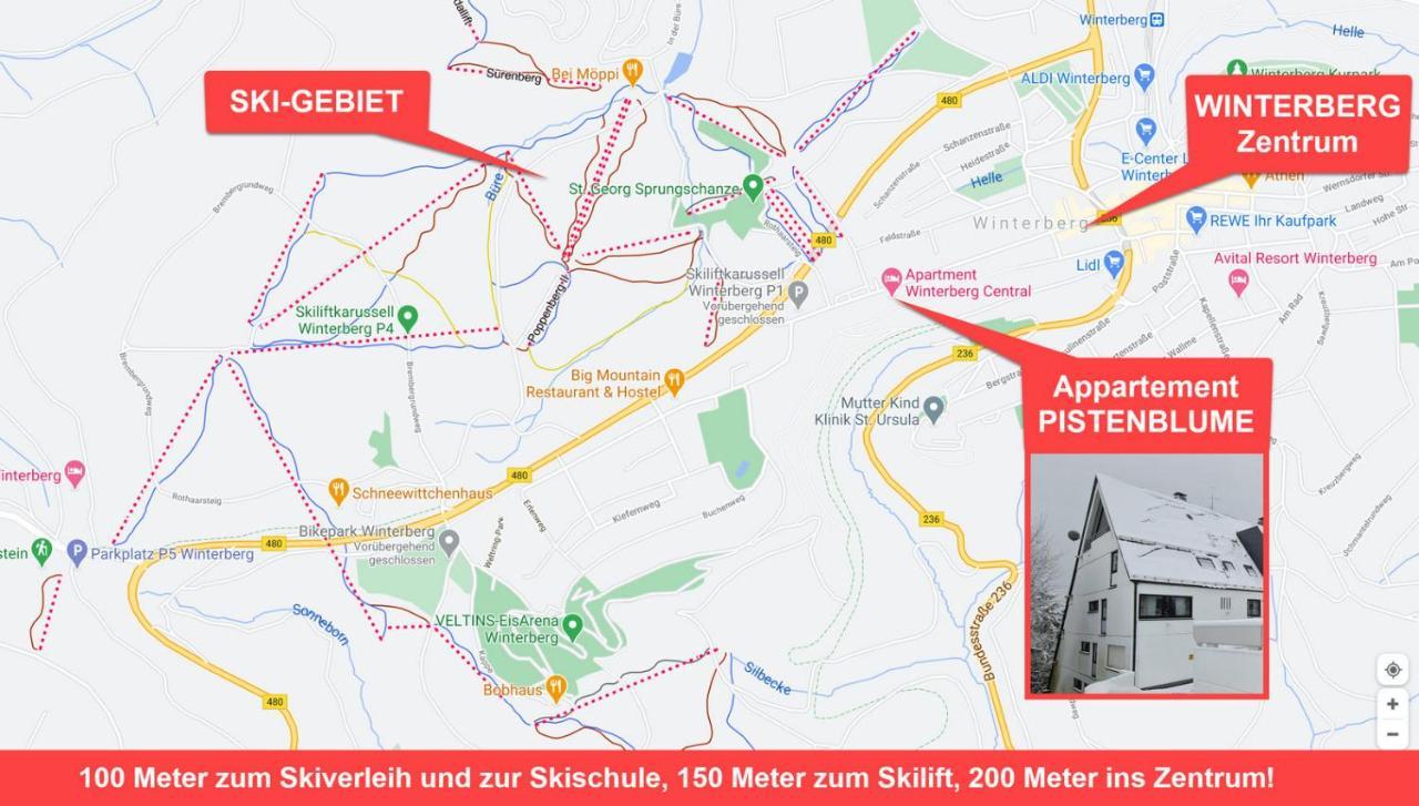 Pistenblume Apartment - Skipiste, Stadtzentrum وينتربرغ المظهر الخارجي الصورة