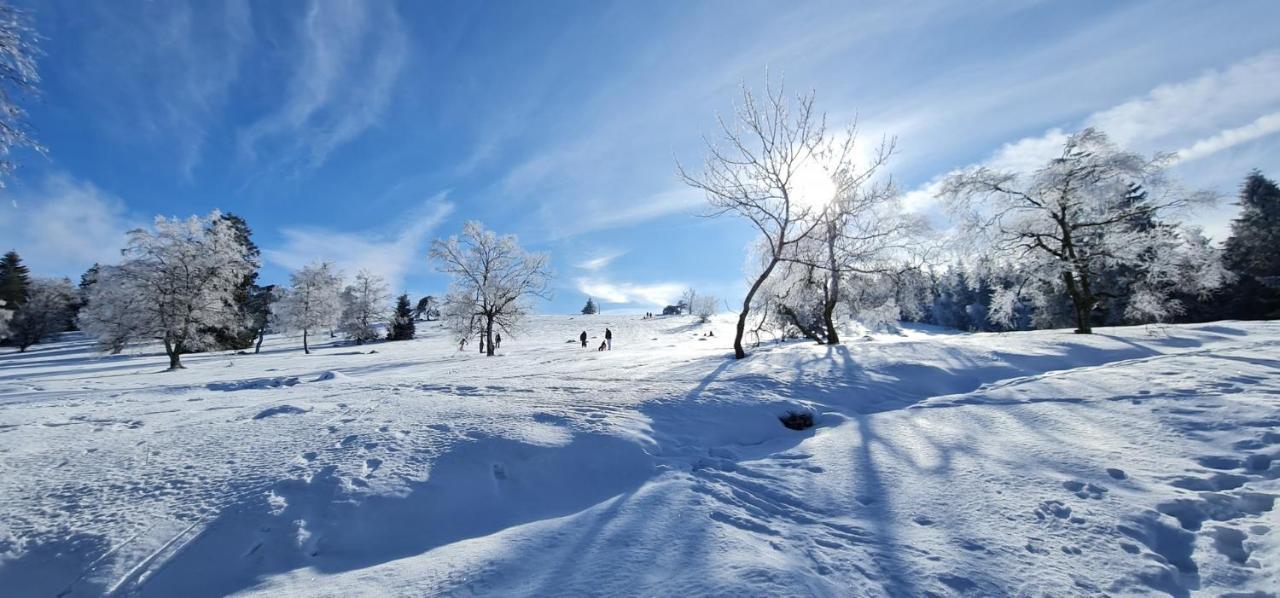 Pistenblume Apartment - Skipiste, Stadtzentrum وينتربرغ المظهر الخارجي الصورة
